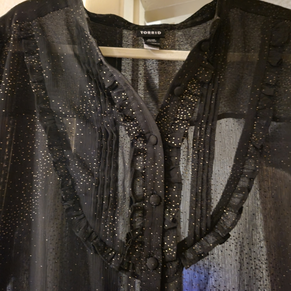 Torrid Top - Picture 2 of 5